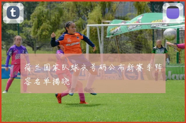 荷兰国家队球衣号码公布新赛季阵容名单揭晓
