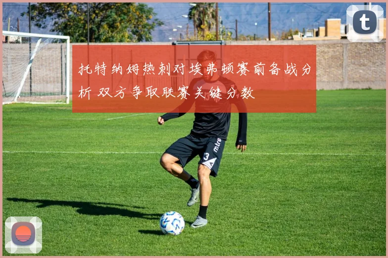 托特纳姆热刺对埃弗顿赛前备战分析 双方争取联赛关键分数