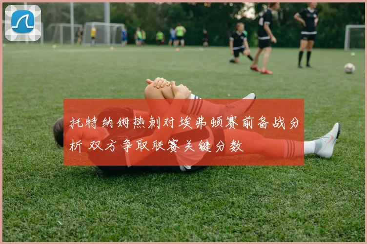 托特纳姆热刺对埃弗顿赛前备战分析 双方争取联赛关键分数