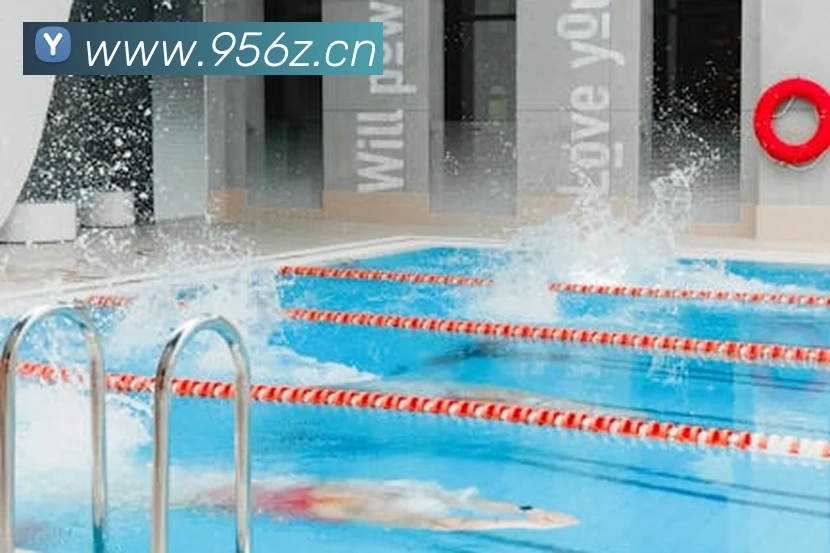 多媒体互动体验